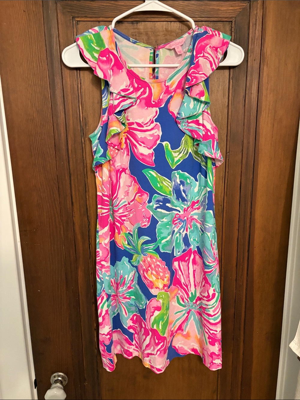 Lily pulitzer ruffle trim dress